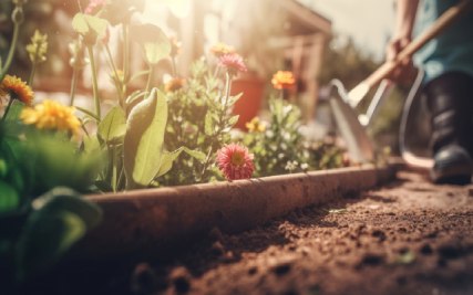 Guide to Gardening